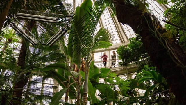 Palm House Terrace