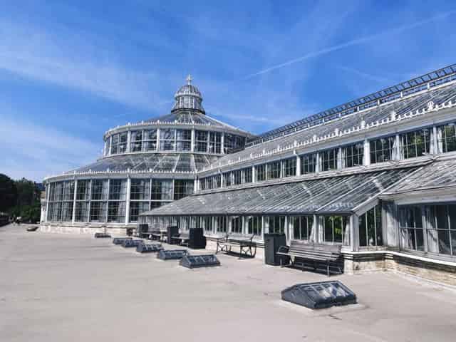 Palm House Terrace