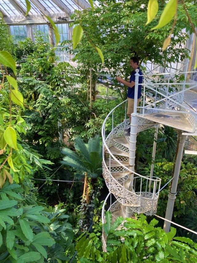 Spiral staircase in lush Palm House Terrace, perfect for inspiring events and gatherings.