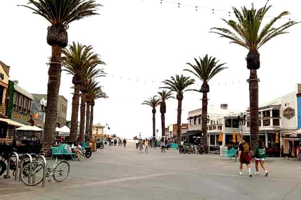 Outdoor deck with palm trees at The Brews Hall, ideal for festivals and events.