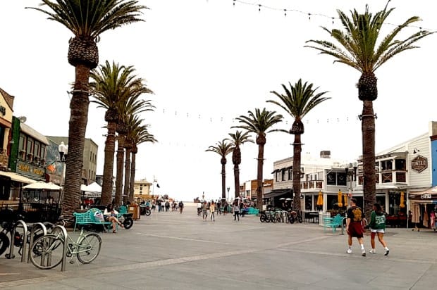 Outdoor deck with palm trees at The Brews Hall, ideal for festivals and events.