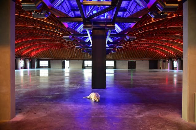 Spacious 3Labs venue with wooden ceiling, ideal for corporate events and weddings.