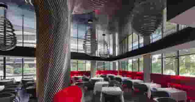Kingbird Terrace