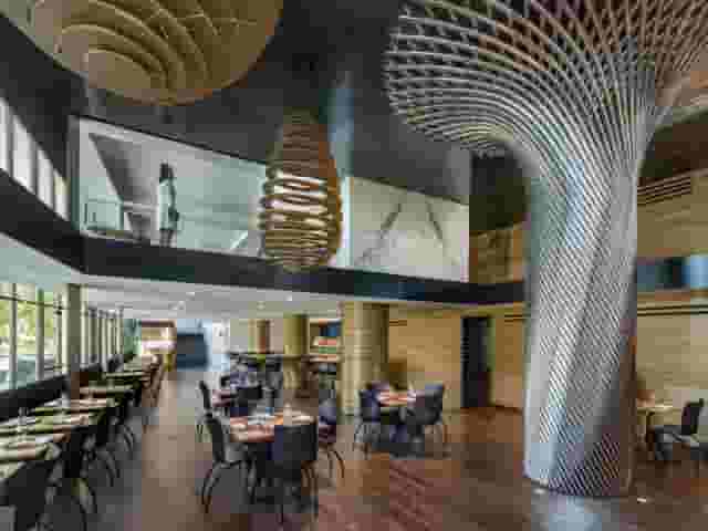 Kingbird Terrace