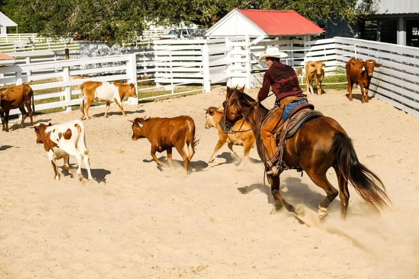 Historic George Ranch museum with horses; ideal for corporate retreats and team-building.