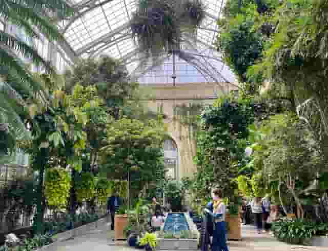 Butterfly Garden
