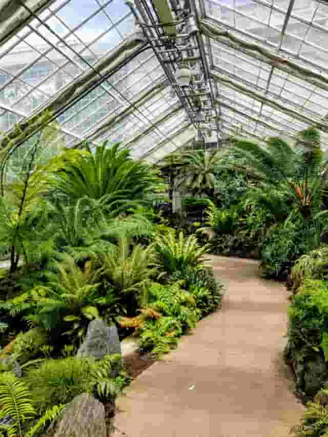 Butterfly Garden