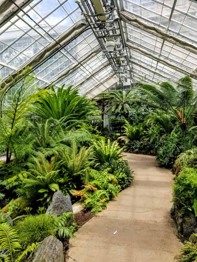Butterfly Garden