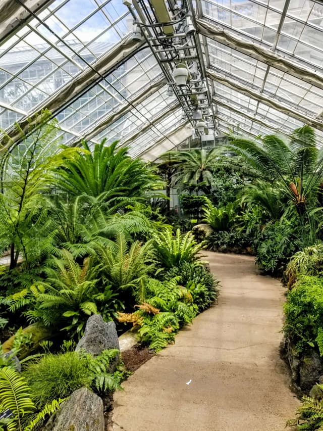 Butterfly Garden
