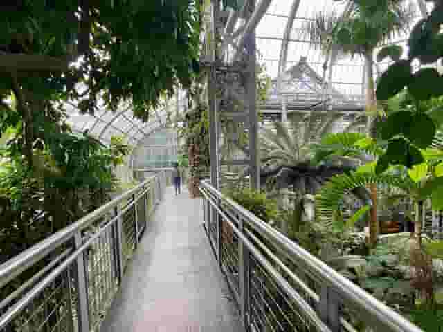 Butterfly Garden