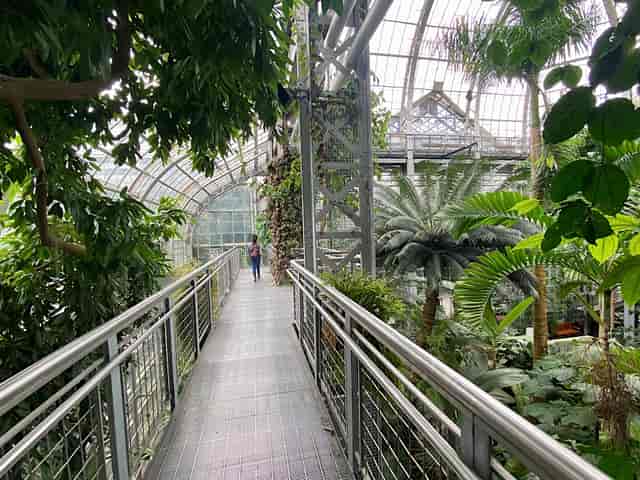 Vibrant Butterfly Garden with lush greenery, perfect for corporate retreats and events.