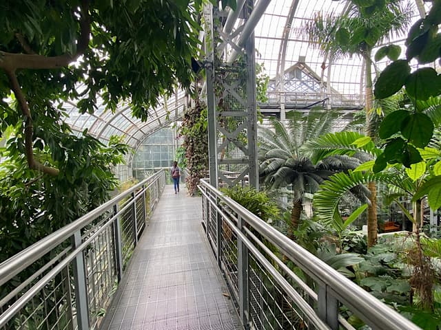 Butterfly Garden
