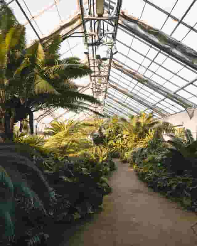 Butterfly Garden