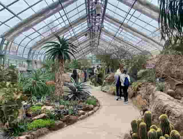 Butterfly Garden