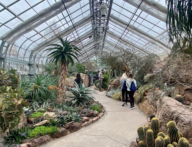 Butterfly Garden