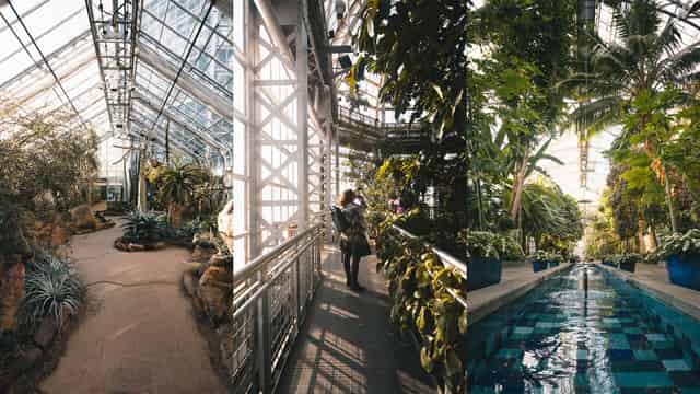 Conservatory