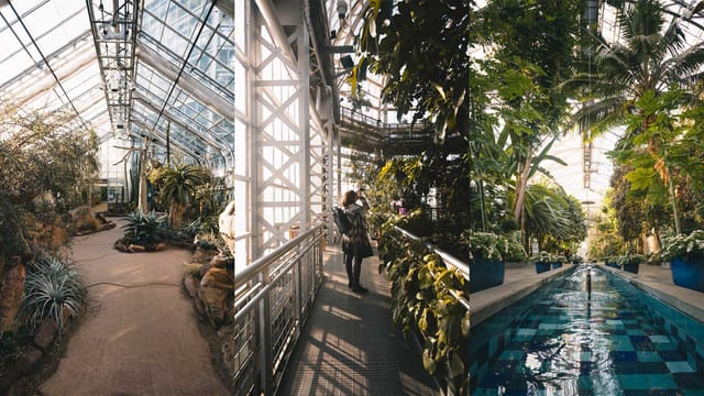 United States Botanic Garden in ...