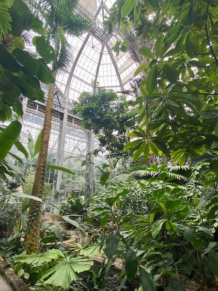 Finally!) Reopened U.S. Botanic Garden ...
