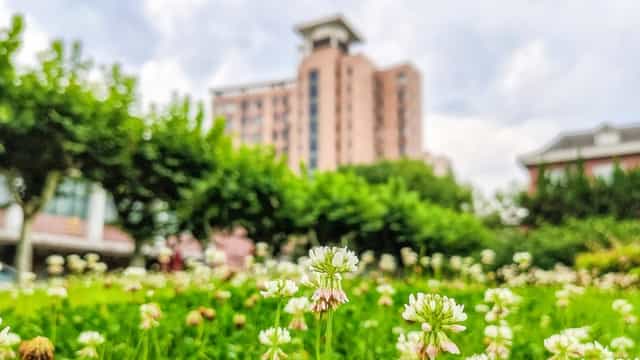 Inviting outdoor classroom at Shanghai Normal University for networking events, lush lawn.