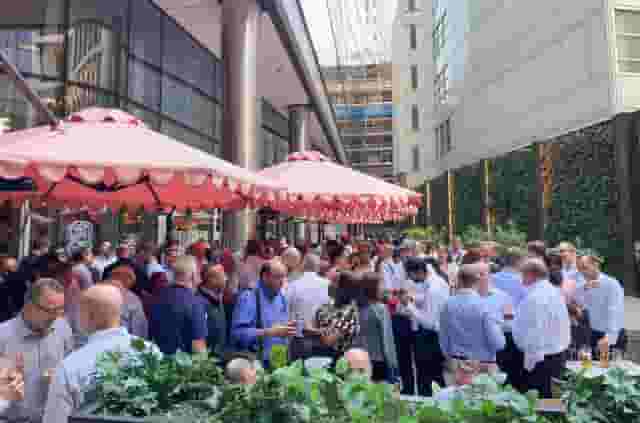 Paradise Green