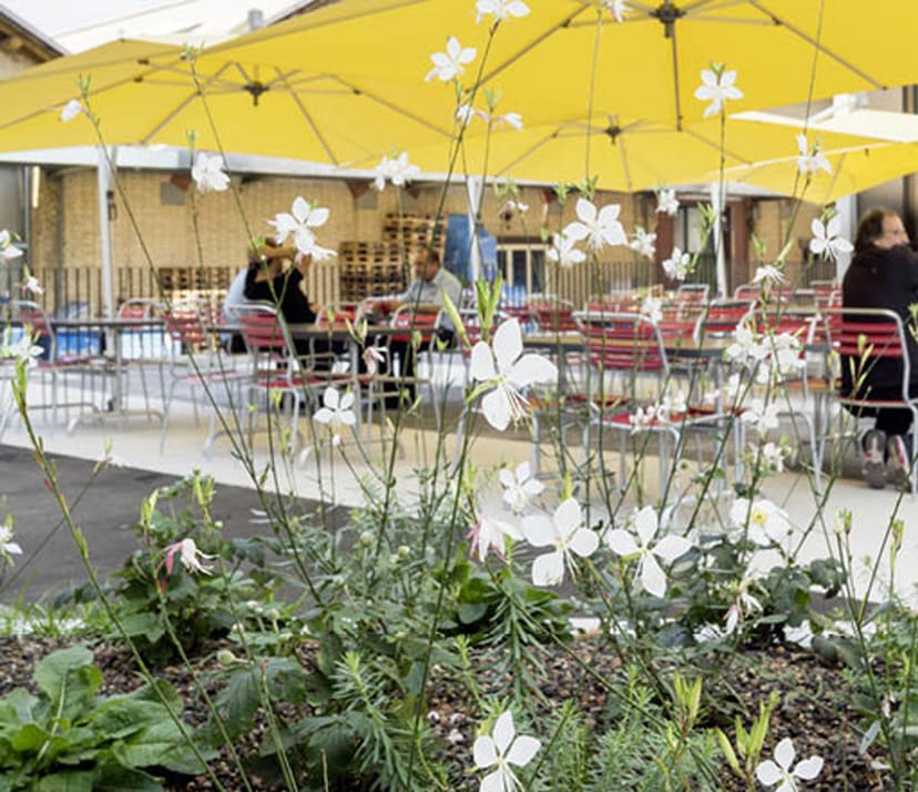 Outdoor restaurant event space with vibrant flowers and stylish canopy for gatherings.