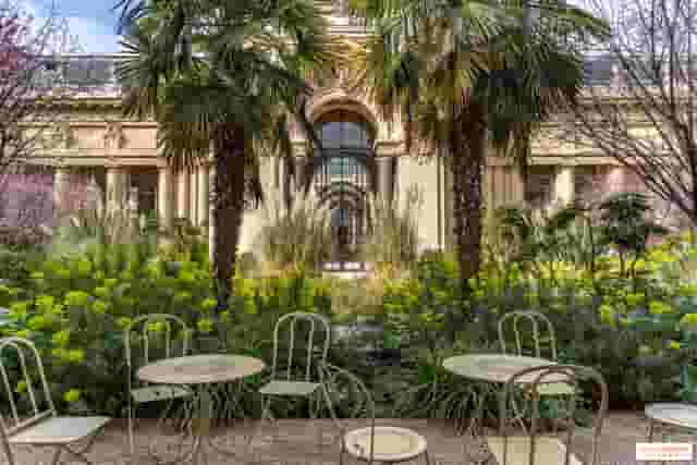 The Inner Garden