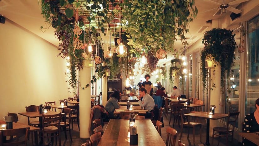 Vibrant restaurant event space with lush greenery for intimate gatherings and networking.