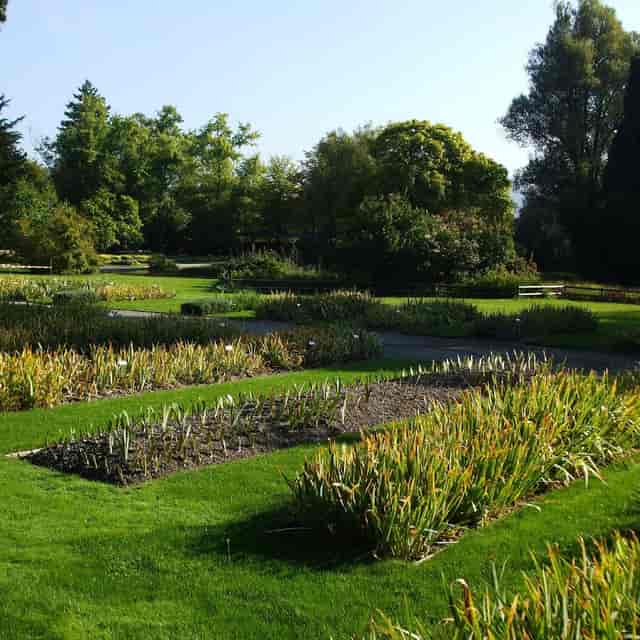 Garden in Belvoirpark Zürich with lush greenery, ideal for outdoor events and workshops.