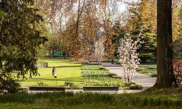 Serene Belvoirpark Zürich garden with lush greenery for outdoor events and gatherings.