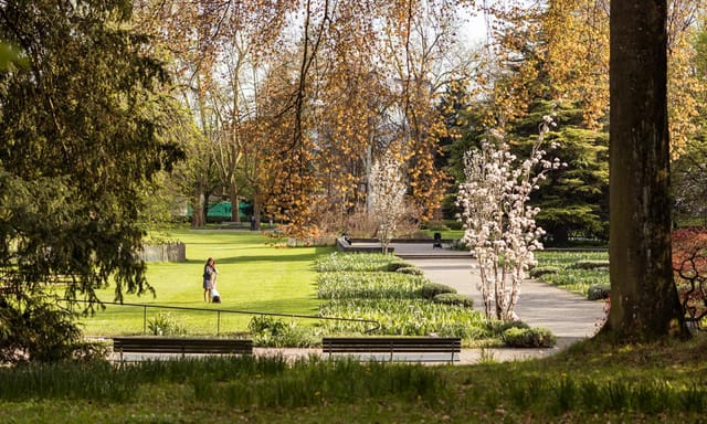 Serene Belvoirpark Zürich garden with lush greenery for outdoor events and gatherings.