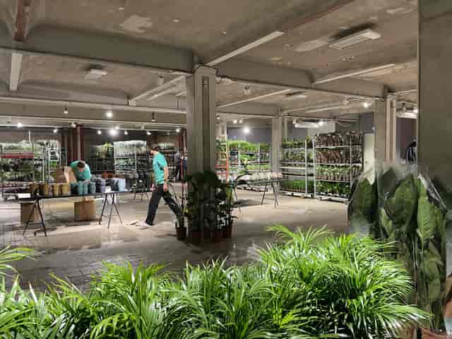 Plant-themed event space at Kühlhaus Berlin with potted greenery for workshops and exhibitions.
