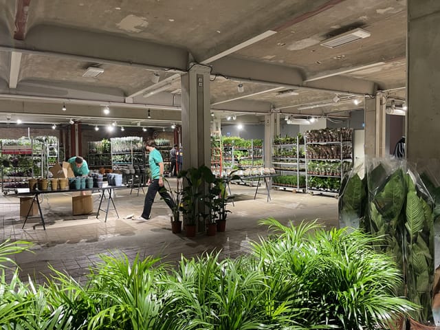 Plant-themed event space at Kühlhaus Berlin with potted greenery for workshops and exhibitions.