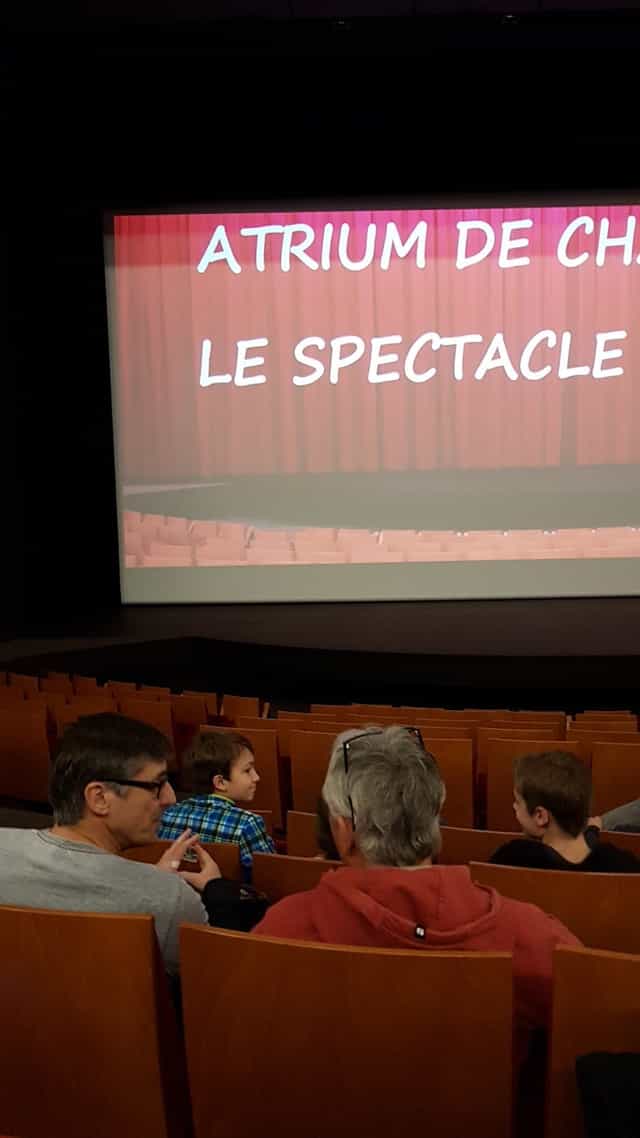 Intimate gathering in Salle Segonzac, Atrium de Chaville for interactive discussions.