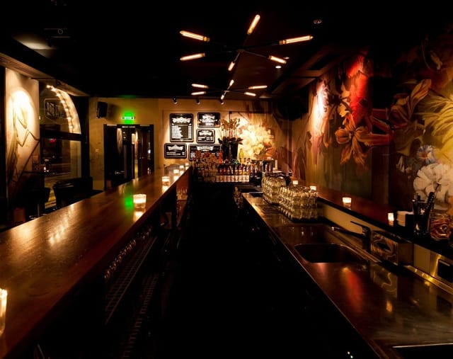 Stylish Plaza Klub bar with murals, perfect for networking events and intimate gatherings.