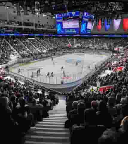 Arena