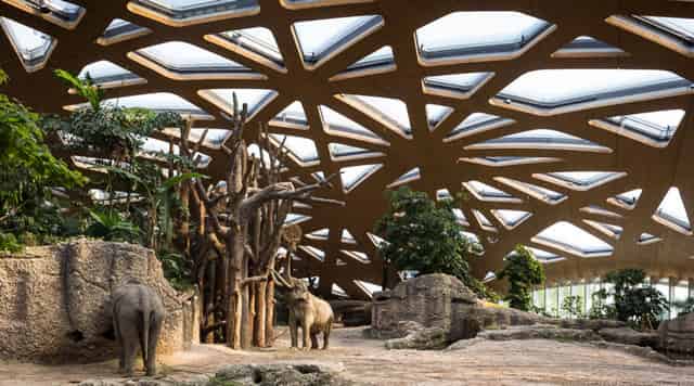 Animal park