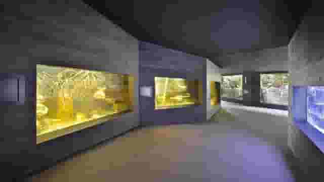 Aquarium