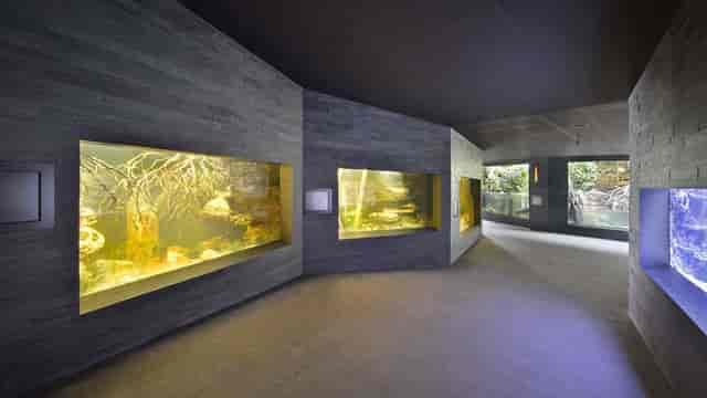 Aquarium corridor at Zoo Zürich, sleek design for networking events and workshops.