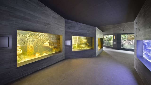 Aquarium