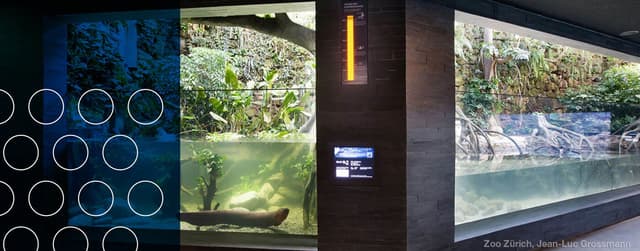 Aquarium