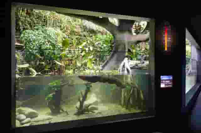 Aquarium