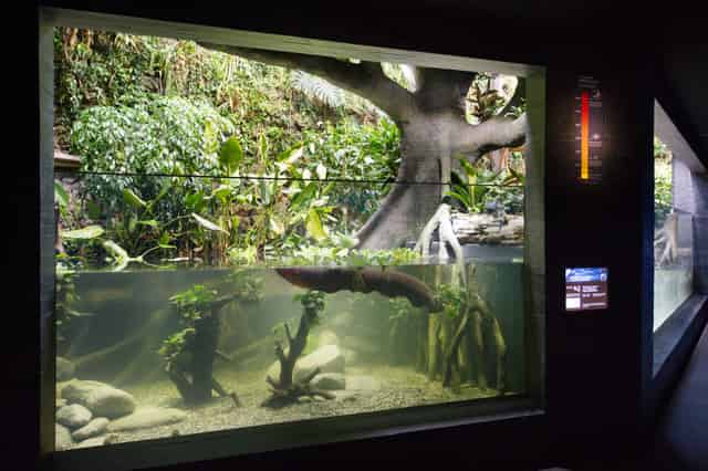 Aquarium