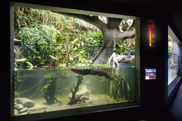 Aquarium