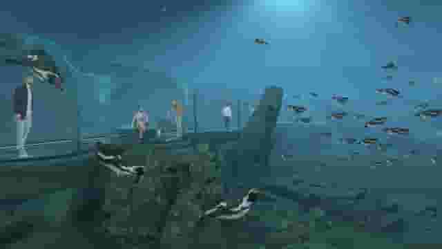 Aquarium
