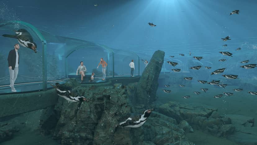Aquarium tunnel in Zoo Zürich, perfect for unique corporate events and meetings.
