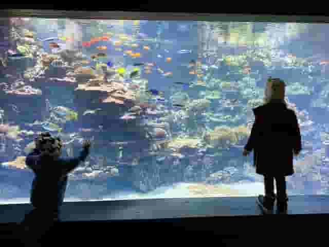 Aquarium