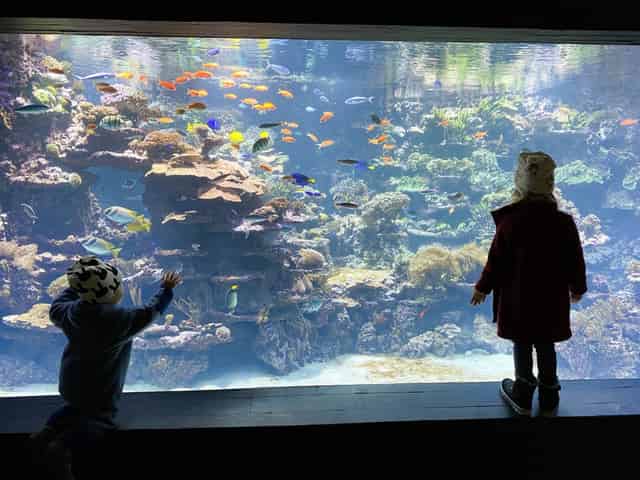 Aquarium