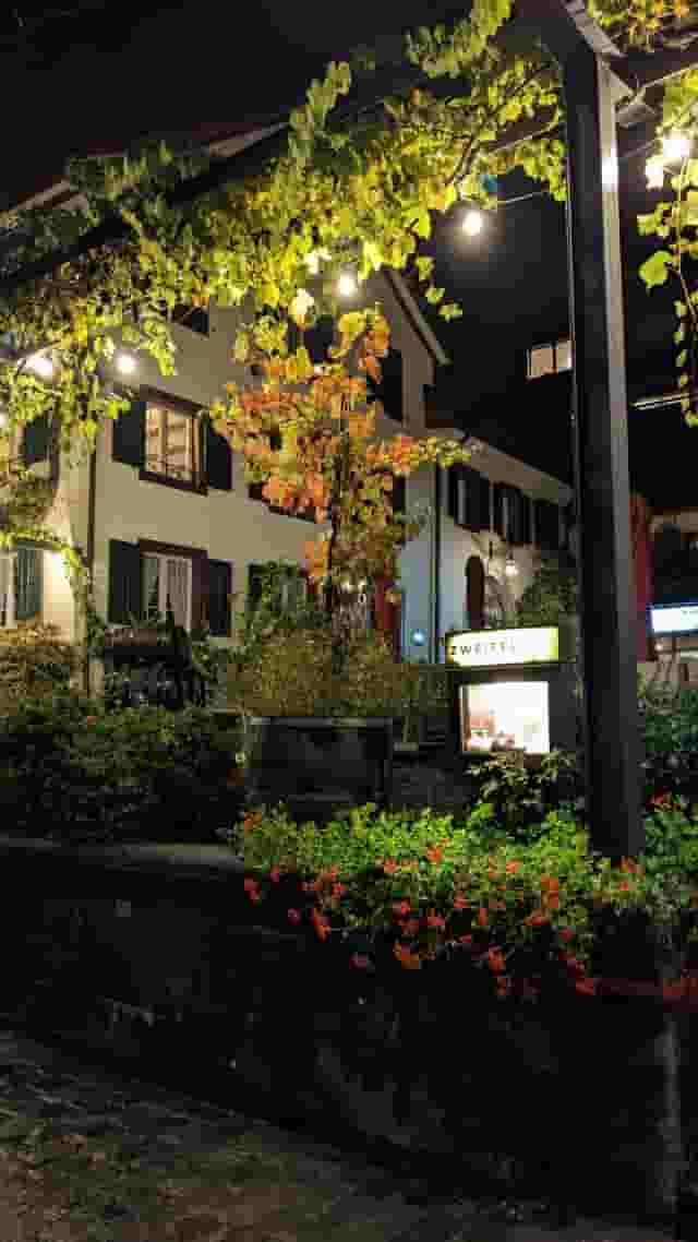 Gartenterrasse & Pergola