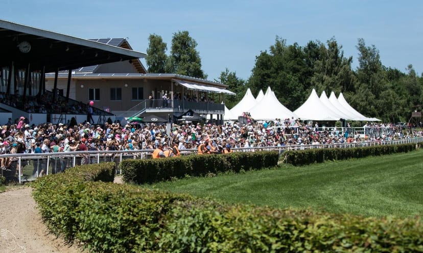 Horse riding school event at Zürich-Dielsdorf, featuring vibrant equestrian activities.