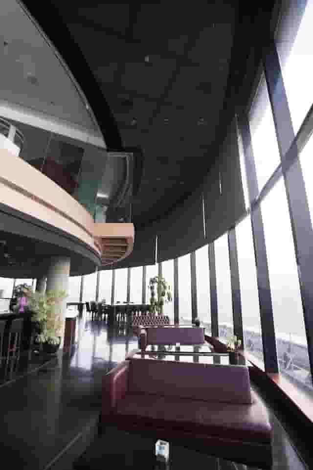 Anthurium Lounge
